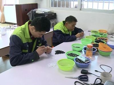 振奮人心 | 東興區殘疾人就業創業正當時！